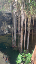 Essential Cenote