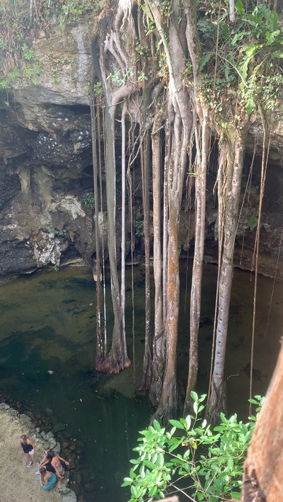 Essential Cenote