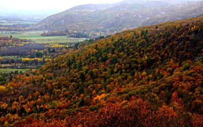 Timeless Gatineau Hills